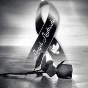 Meet your Posher, Ernesto